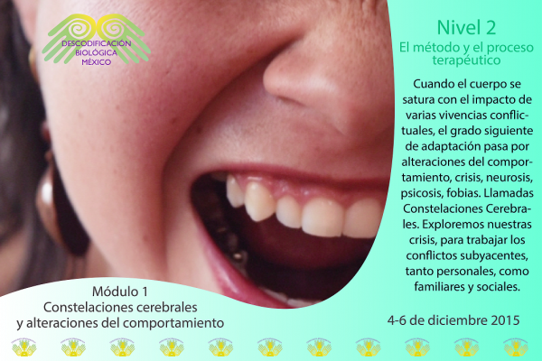 Constelaciones Cerebrales