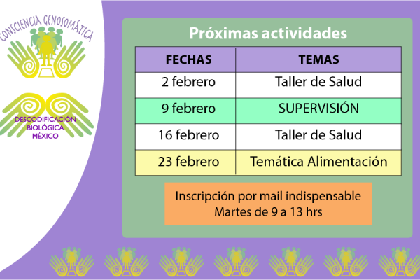actividades febrero 2016