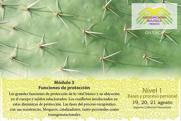 Módulo 3 Funciones de protección en Oaxaca